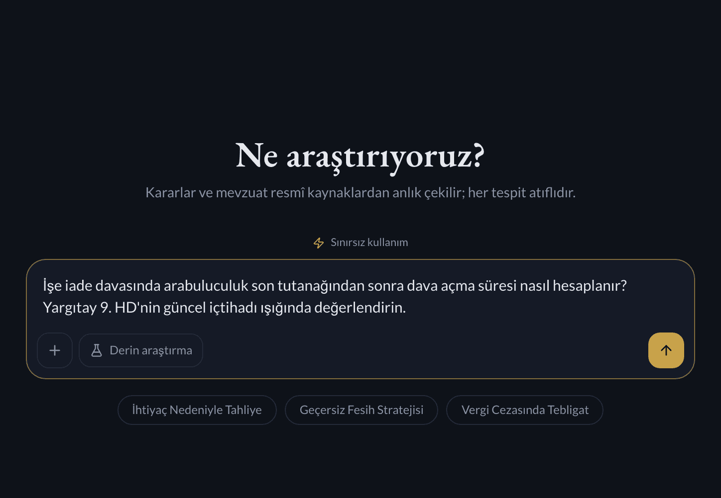 Themis sohbet girişine yazılmış işe iade sorusu — boş sohbet ekranı yakın çekimi